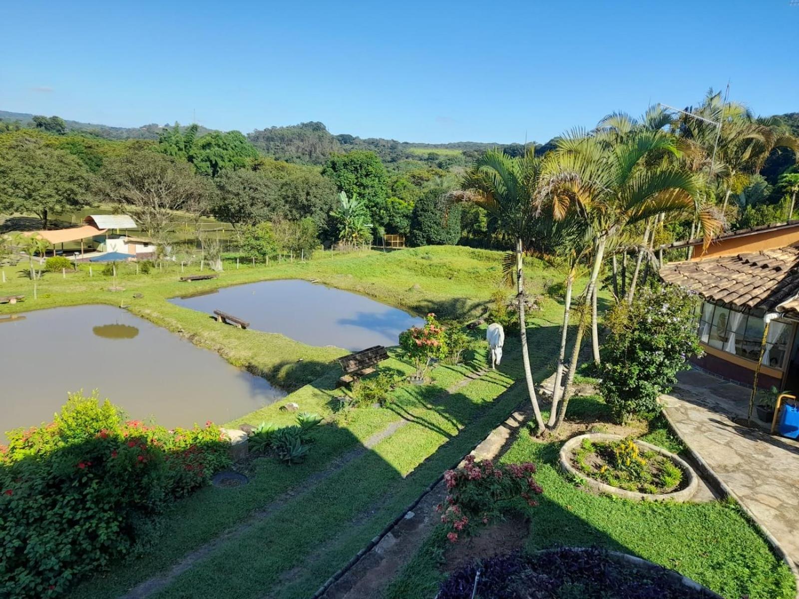 Pousada Balneario Cachoeira Do Moinho Belo Vale Bagian luar foto